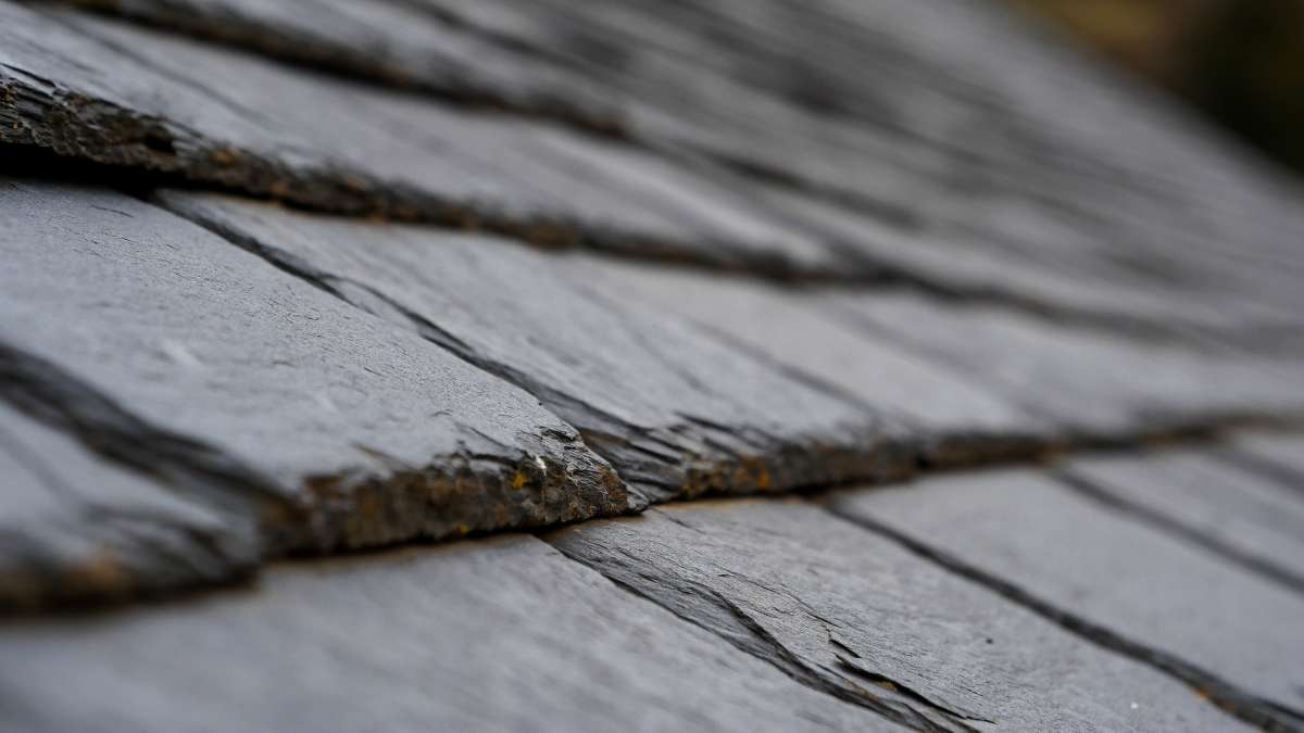 Vue en gros plan de tuiles en ardoise présentant leur texture robuste et leurs variations de couleur naturelle. L'Image capte la lumière tôt le matin qui se réfléchit sur les carreaux, ajoutant de la profondeur.