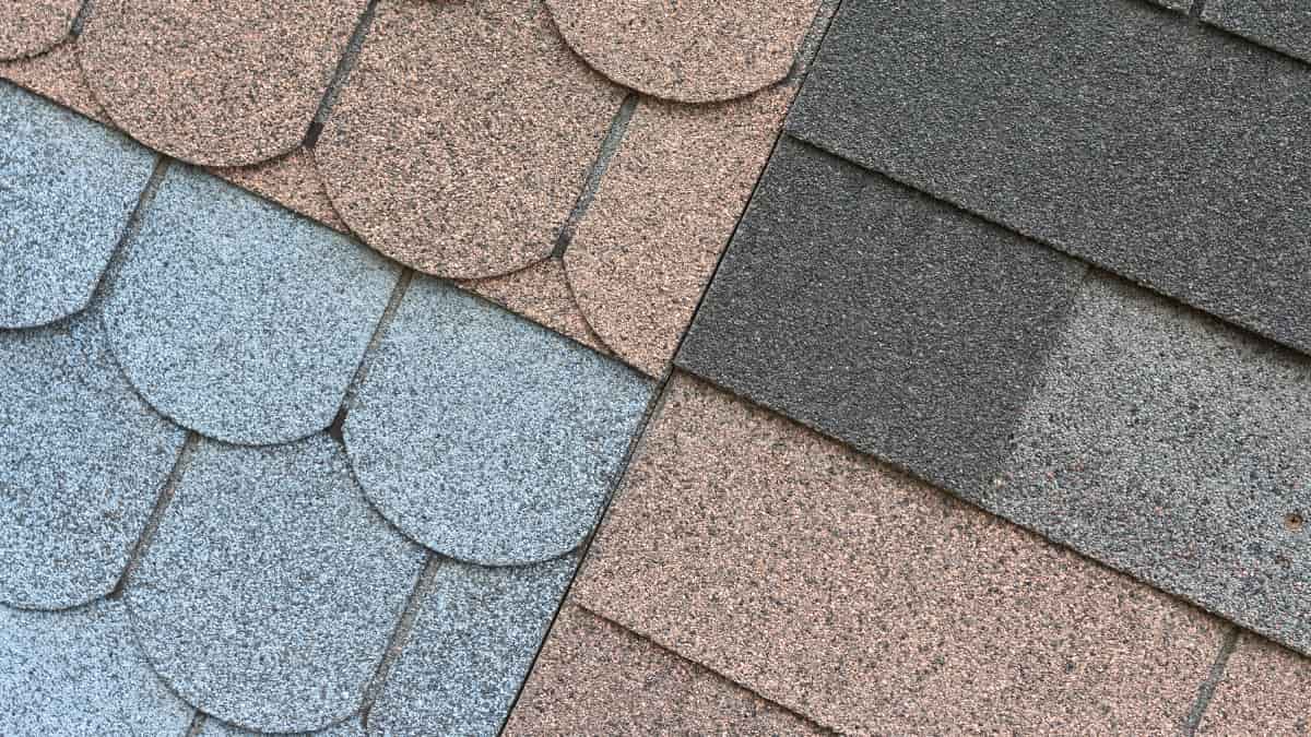 Shingles de différentes couleurs.