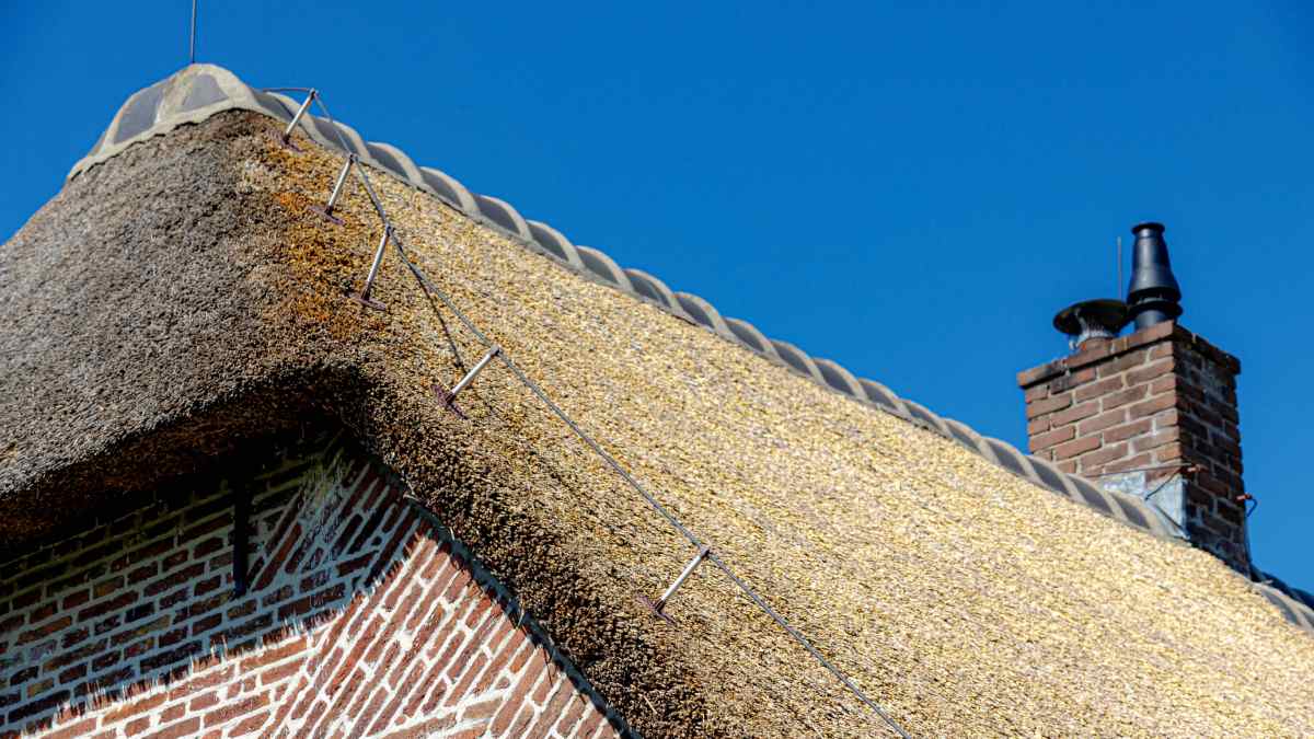 Maison de campagne avec une toiture en chaume.