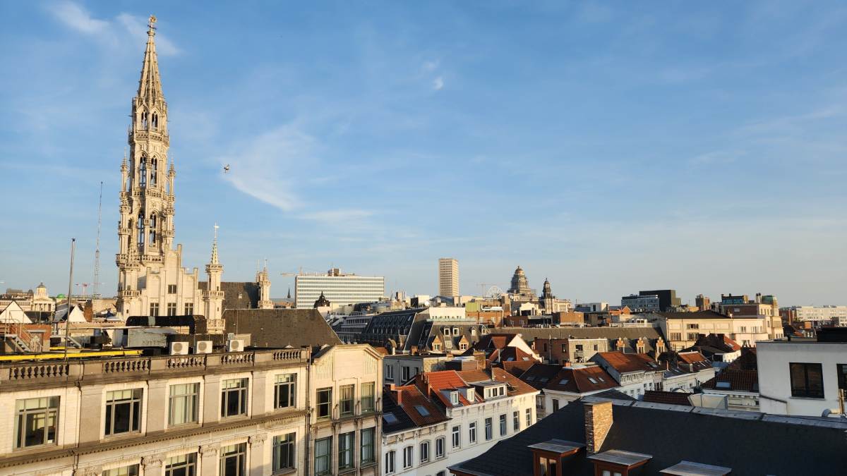 Vue panoramique des toits de Bruxelles.