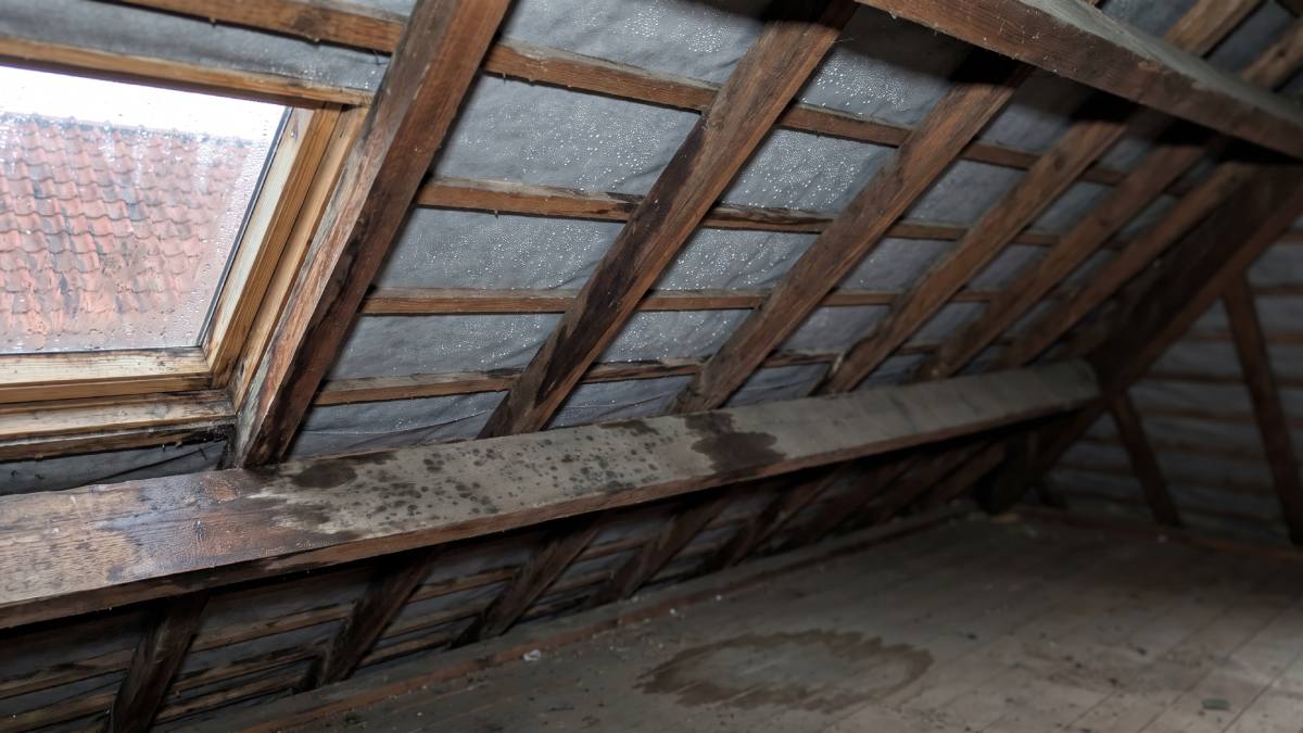 Humidité présente dans les combles d'une maison en Belgique.