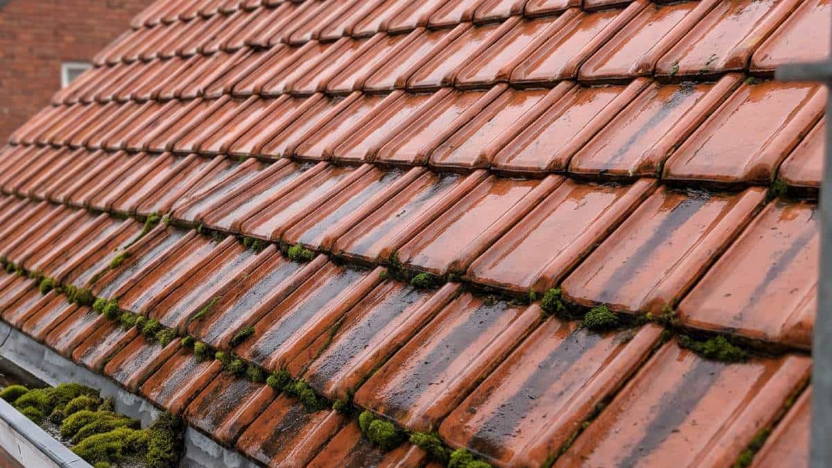 Toiture présentant des signes d'humidité.