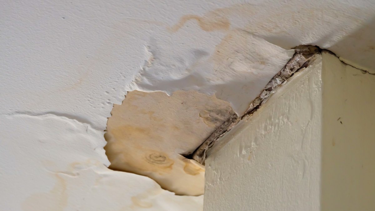 Infiltration d'eau sur le plafond avec auréole jaune visible.