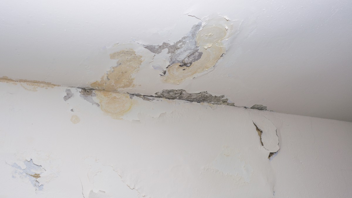 Infiltration d'eau visible sur le plafond d'une maison.